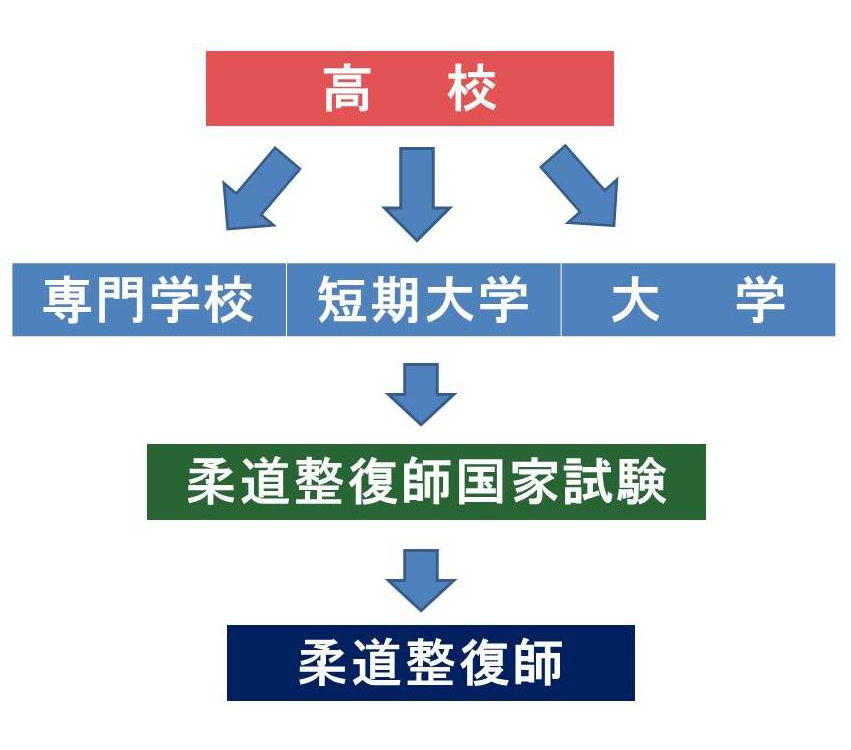 柔道 整復 師 に なるには 社会 人